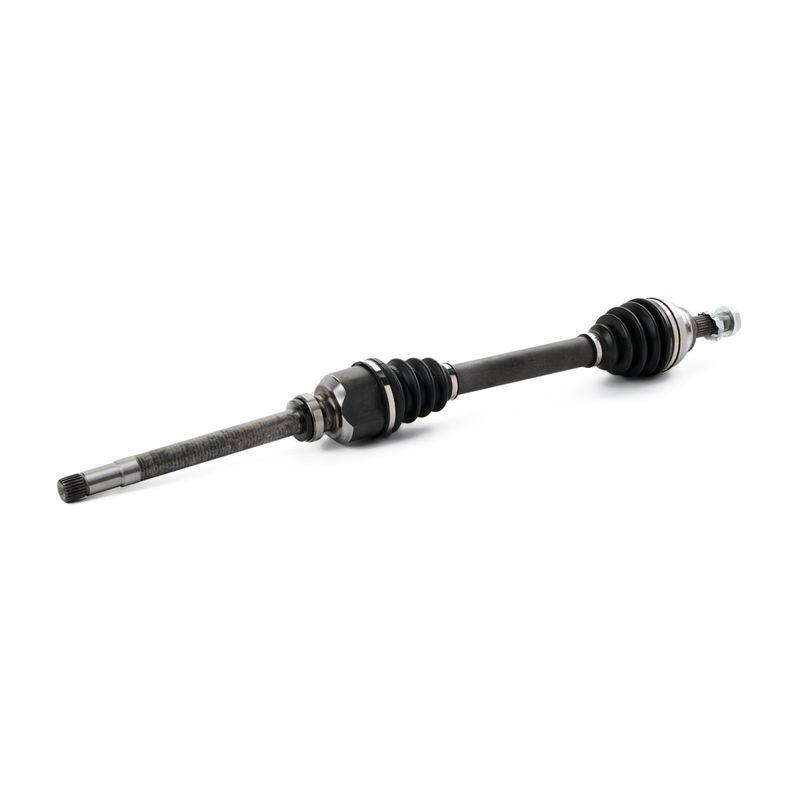 TRN-MSC-RID-CIT-NEW-0100 #1