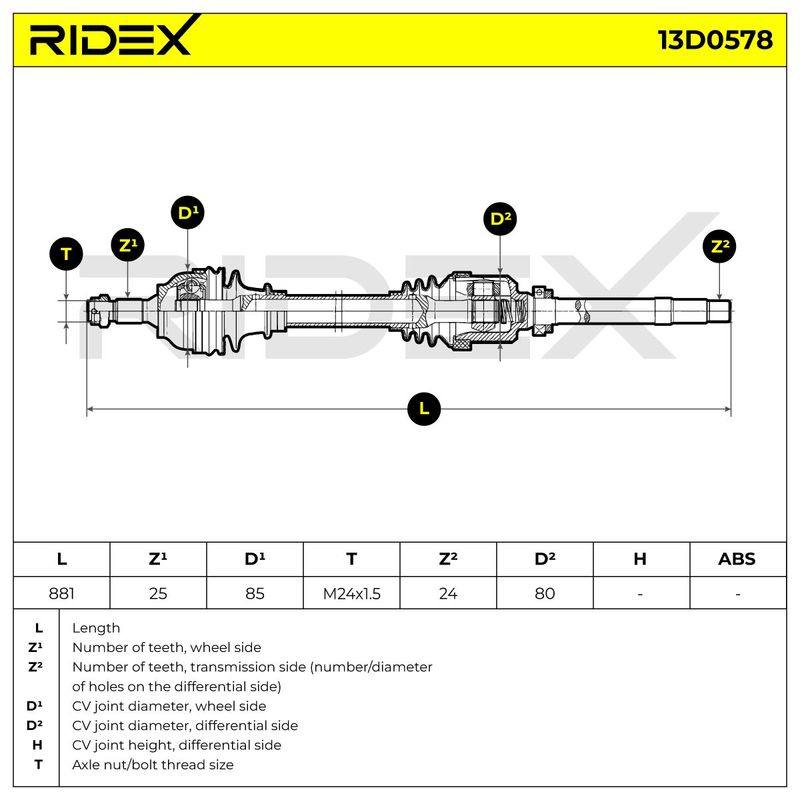 TRN-MSC-RID-CIT-NEW-0100 #4