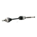 TRN-MSC-RID-CIT-NEW-0091 #1