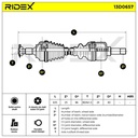 TRN-MSC-RID-CIT-NEW-0101 #3