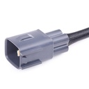 ELE-SEN-RID-TOY-NEW-0119 #1