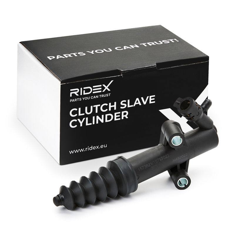 TRN-MSC-RID-CIT-NEW-0058 #3