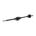TRN-MSC-RID-CIT-NEW-0158 #1