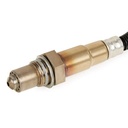 ELE-SEN-RID-BMW-NEW-0124 #2