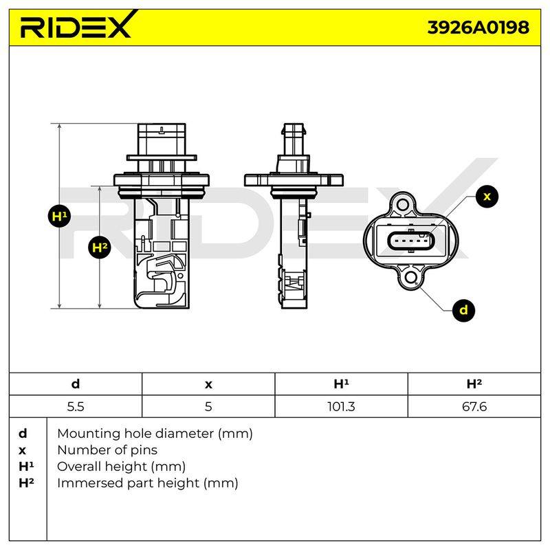 ELE-SEN-RID-BMW-NEW-0160 #1
