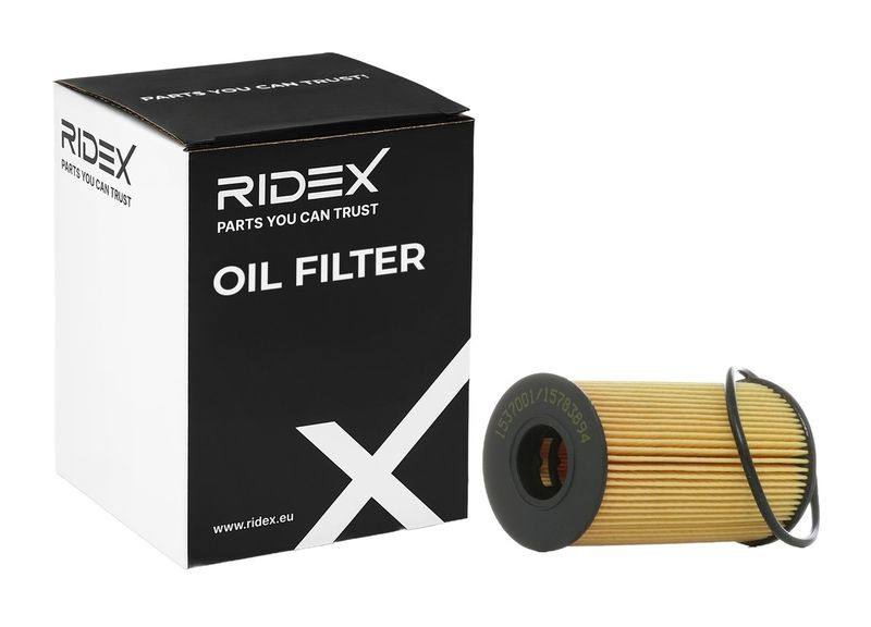 FIL-OIL-RID-LA2-NEW-0009 #2