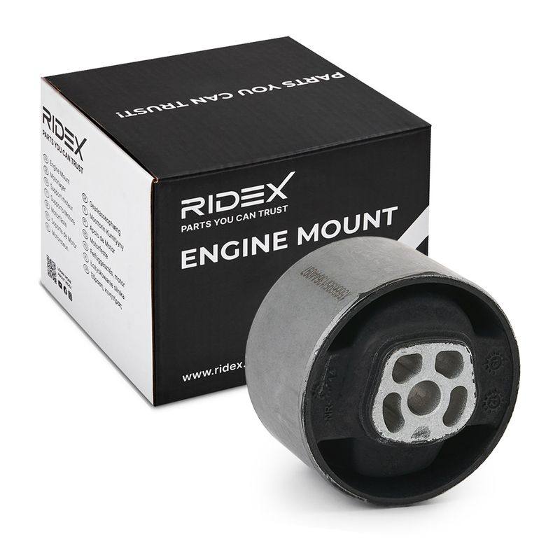 ENG-MSC-RID-PEU-NEW-0131 #2