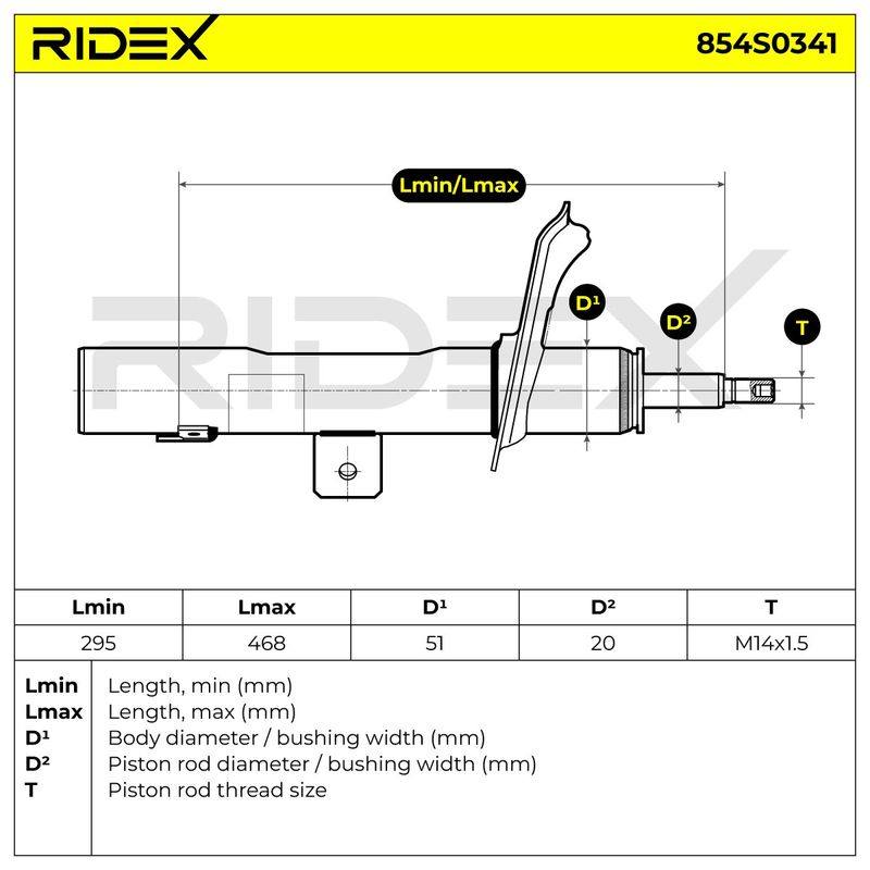 SUS-SHA-RID-PEU-NEW-0081 #1