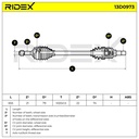 TRN-MSC-RID-CIT-NEW-0088 #2