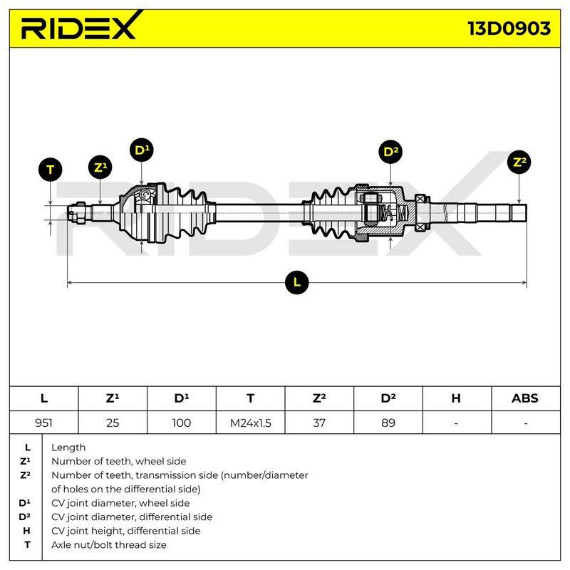TRN-MSC-RID-CIT-NEW-0160 #2