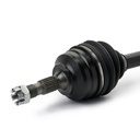 TRN-MSC-RID-CIT-NEW-0154 #2
