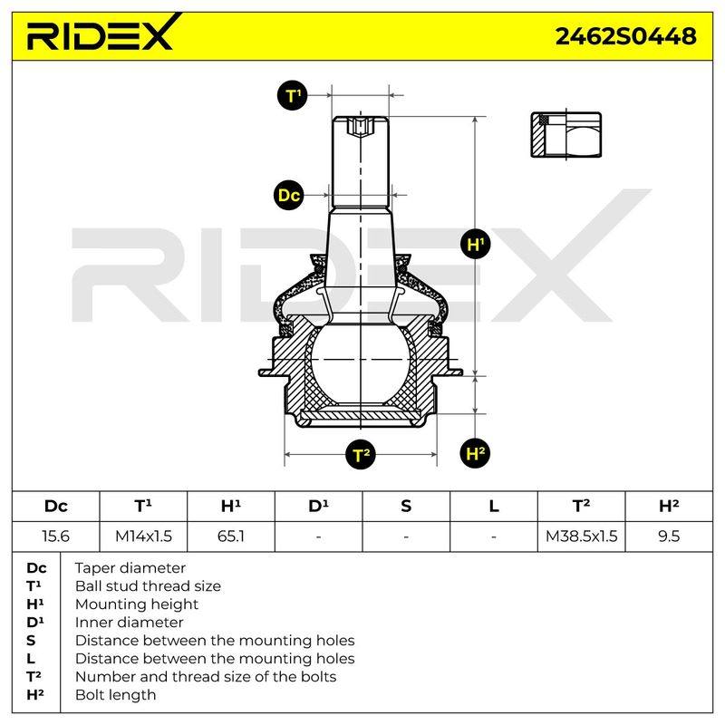 SUS-BJT-RID-PEU-NEW-0011 #1
