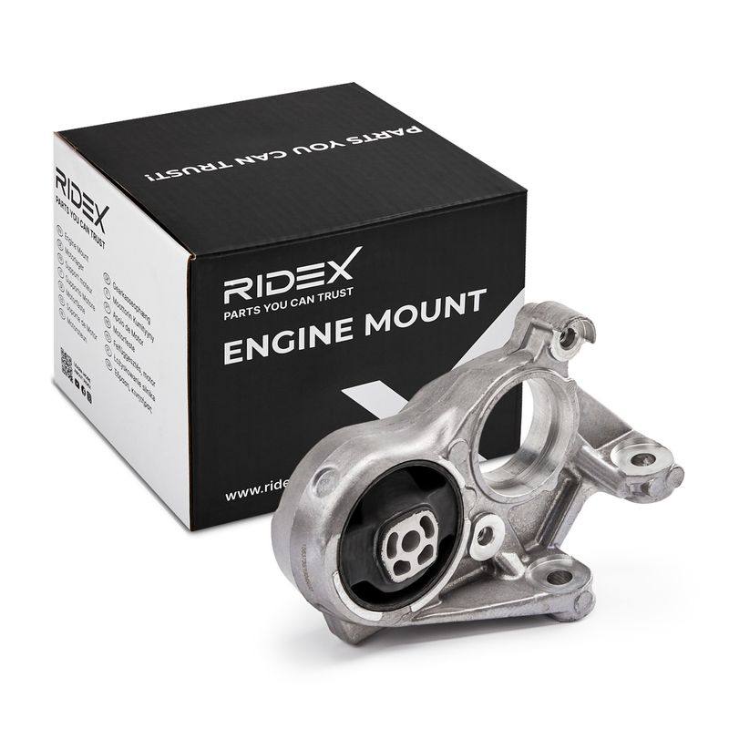 ENG-MSC-RID-PEU-NEW-0177 #3