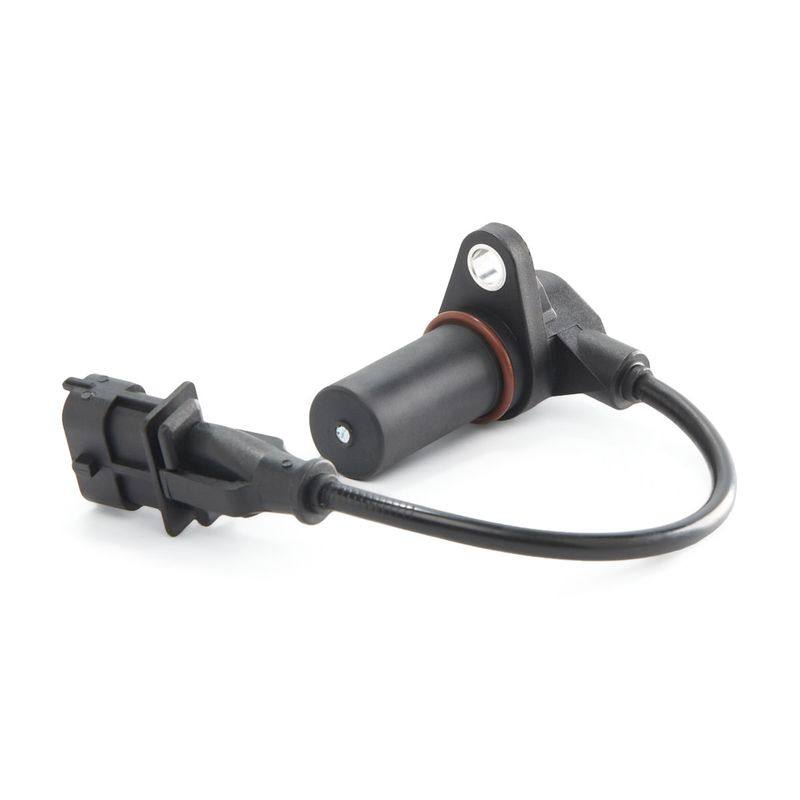ELE-SEN-RID-CHR-NEW-0068 #2