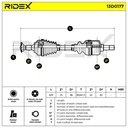 TRN-MSC-RID-PEU-NEW-0161 #1