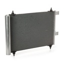 COO-MSC-RID-CIT-NEW-0019 #2