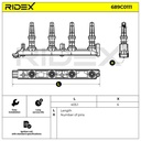 IGN-ICO-RID-PEU-NEW-0005 #2