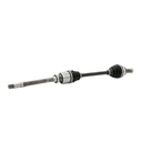 TRN-MSC-RID-CIT-NEW-0126 #2