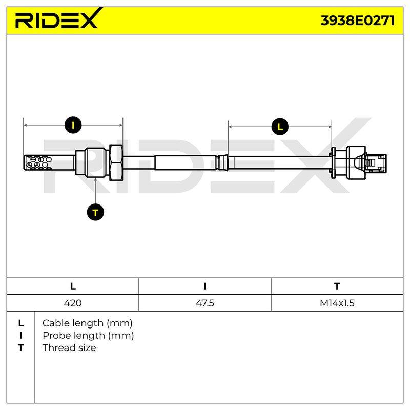 ELE-SEN-RID-CHR-NEW-0088 #3