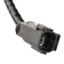 ELE-SEN-RID-CHR-NEW-0073 #3
