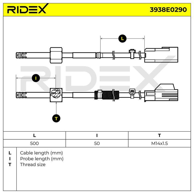 ELE-SEN-RID-CHR-NEW-0073 #4