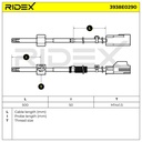 ELE-SEN-RID-CHR-NEW-0073 #4