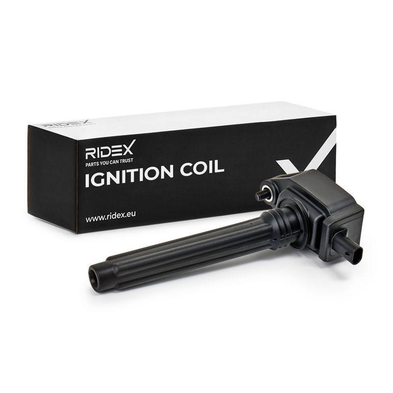 IGN-ICO-RID-CHR-NEW-0001 #2