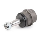 SUPP-6358-2462S0348 #2