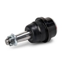 SUPP-6358-2462S0447 #3