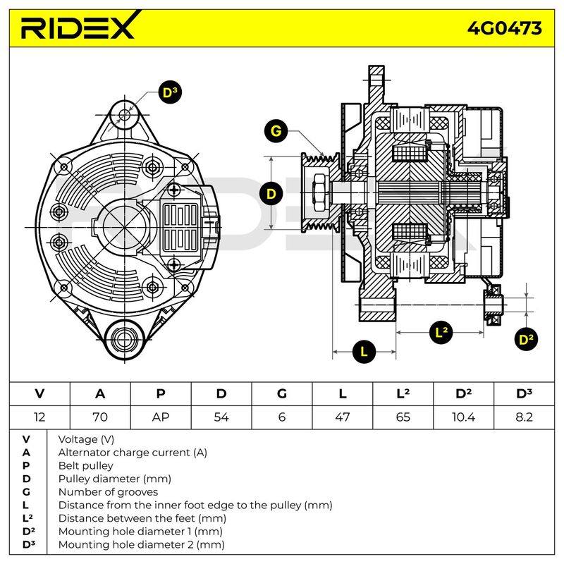 ELE-ALT-RID-REN-NEW-0027 #2