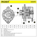ELE-ALT-RID-REN-NEW-0027 #2