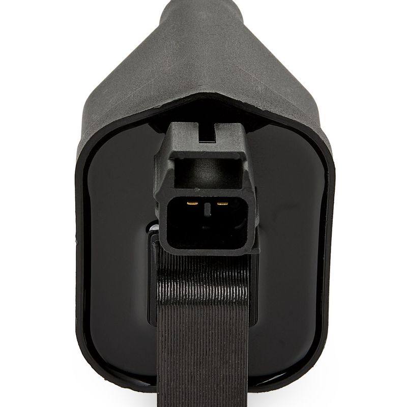 IGN-ICO-RID-PLY-NEW-0002 #2