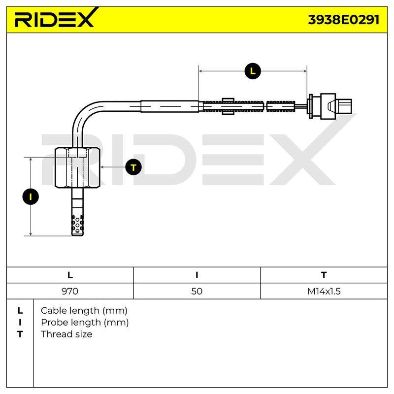 ELE-SEN-RID-CHR-NEW-0044 #3