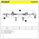 ELE-SEN-RID-CHR-NEW-0010 #1