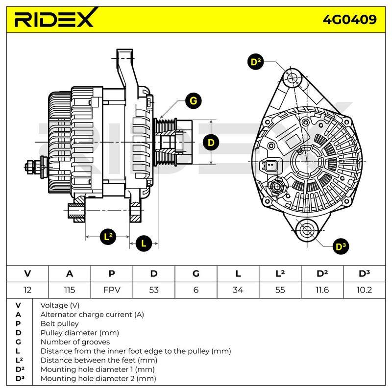 ELE-ALT-RID-CHR-NEW-0026 #2