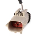 ELE-SEN-RID-CHR-NEW-0079 #3