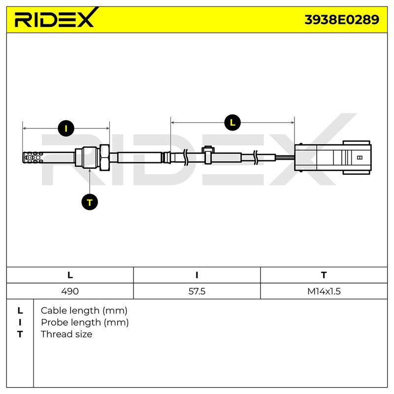 ELE-SEN-RID-CHR-NEW-0078 #2