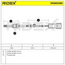 ELE-SEN-RID-CHR-NEW-0078 #2