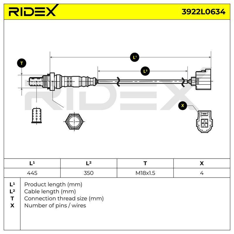 ELE-SEN-RID-CHR-NEW-0074 #2