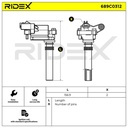 IGN-ICO-RID-CHR-NEW-0006 #2