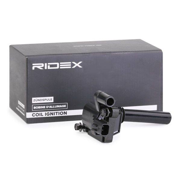 IGN-ICO-RID-CHR-NEW-0006 #3