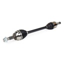 TRN-MSC-RID-CIT-NEW-0230 #1