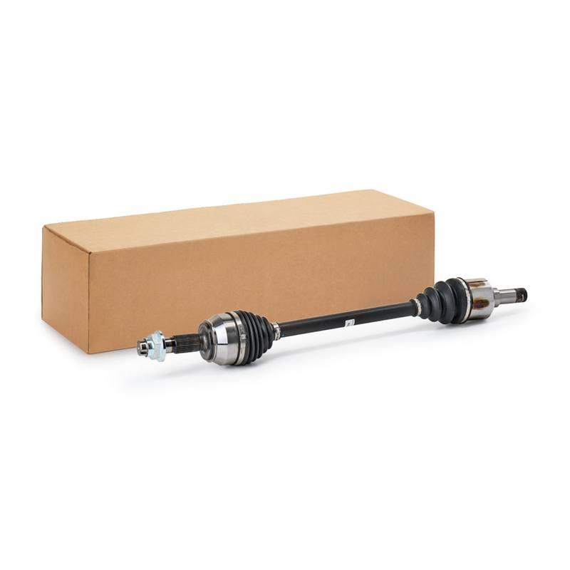 TRN-MSC-RID-CIT-NEW-0231 #2