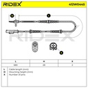 ELE-SEN-RID-FIA-NEW-0071 #4