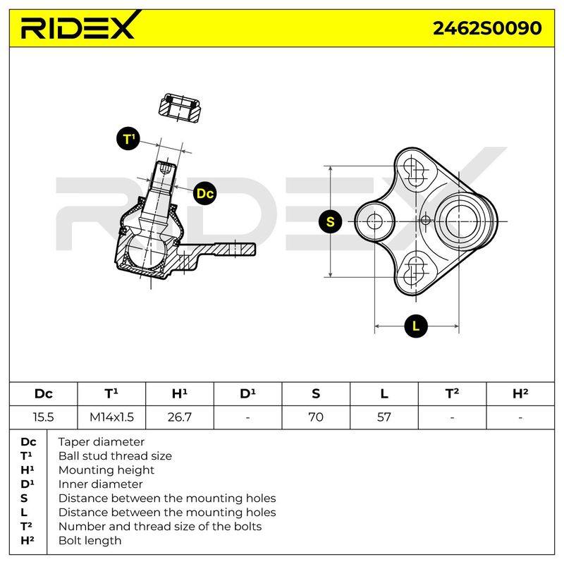 SUS-BJT-RID-MER-NEW-0009 #1