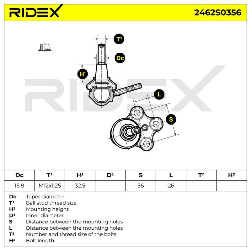 SUS-BJT-RID-REN-NEW-0018 #1