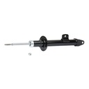 SUS-SHA-RID-CHR-NEW-0003 #1