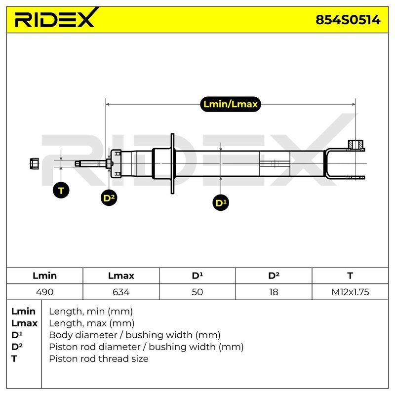 SUS-SHA-RID-CHR-NEW-0003 #2
