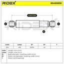 SUS-SHA-RID-VW-NEW-0166 #3