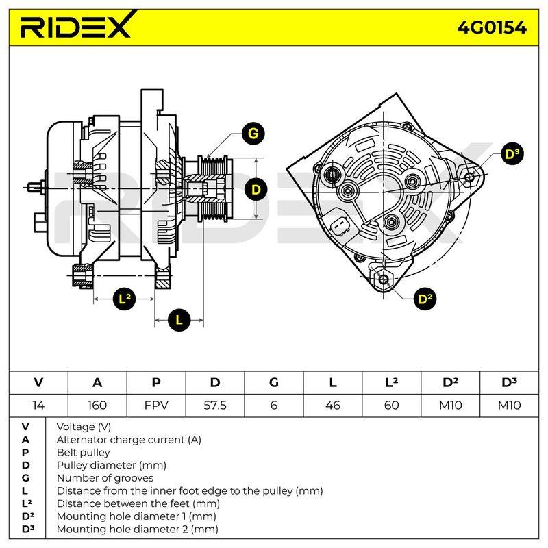 ELE-ALT-RID-CHR-NEW-0011 #2
